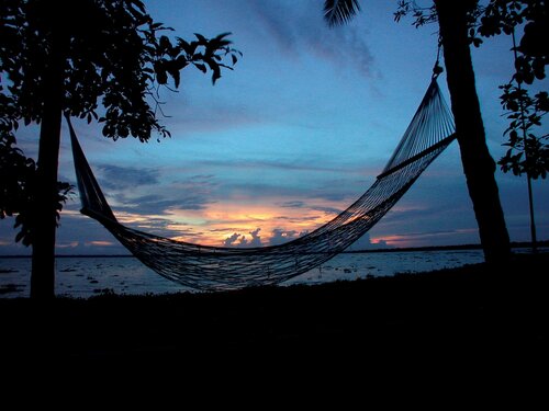 Coconut Lagoon Kumarakom - A CGH Earth Experience, Забронировать Отель Отели Кумараком по системе «всё включено», Всё включено