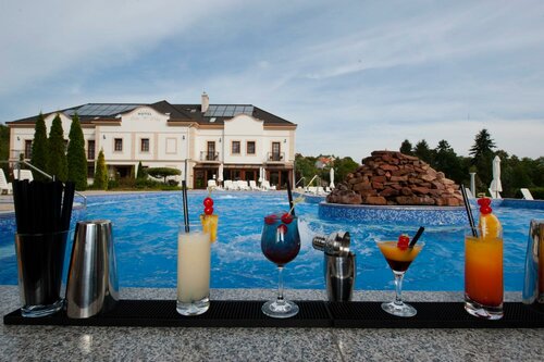 Hotel Villa Völgy