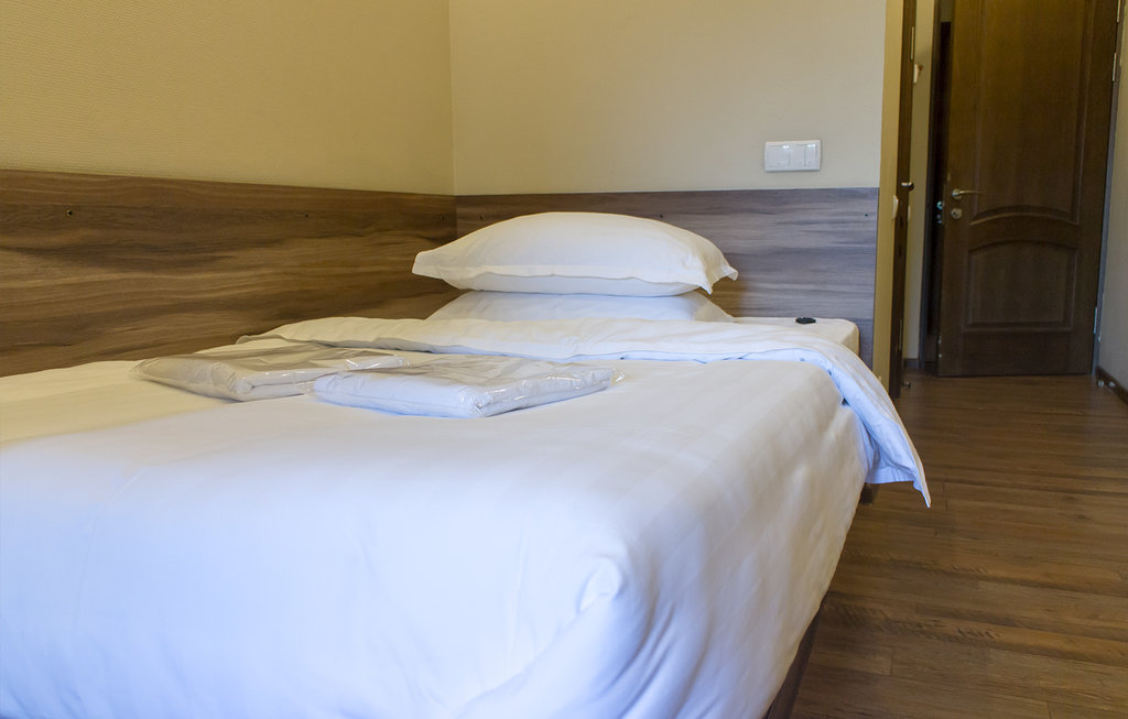 Hotel Salut