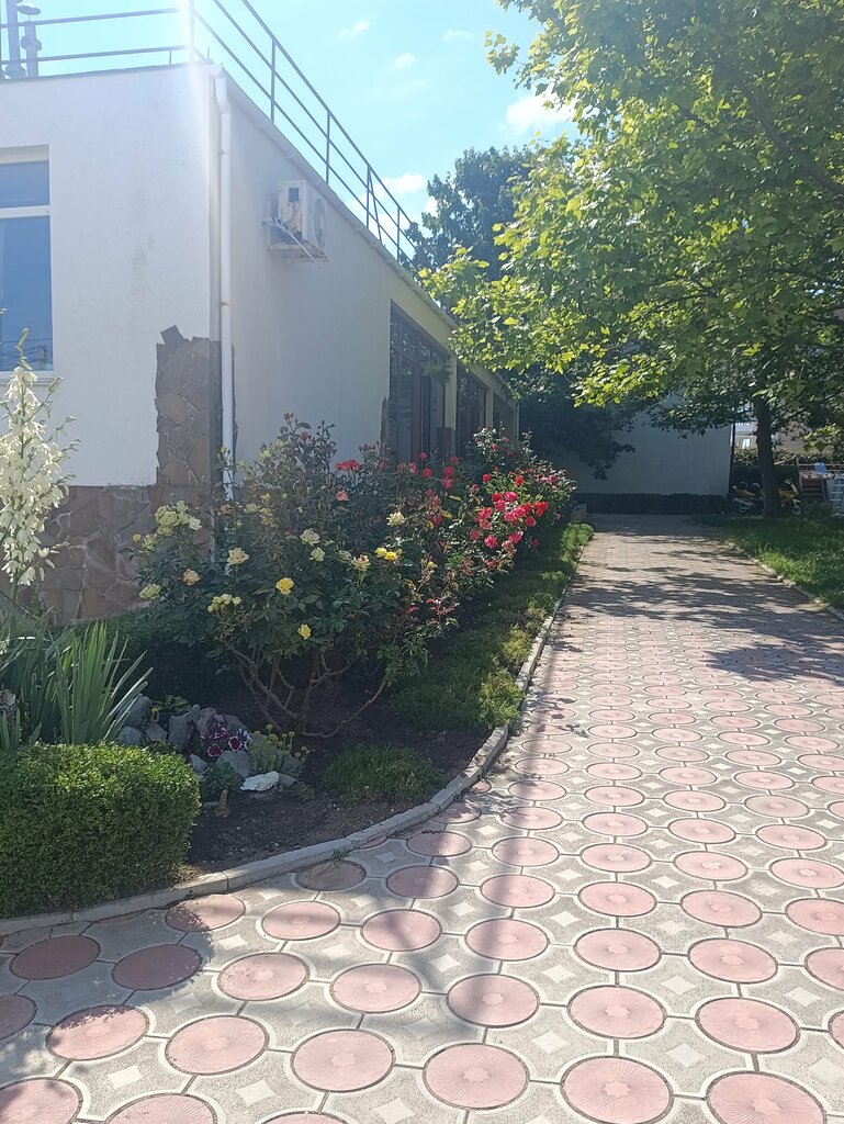 Лето клуб