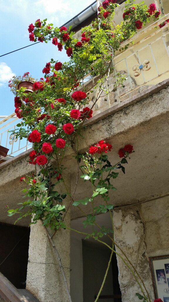 Anatolia cave hotel Pension