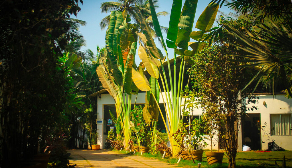 Rococco at Ashvem