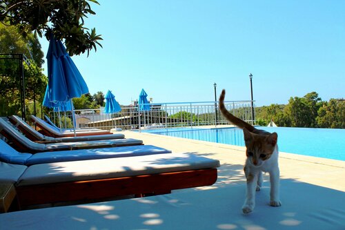 Hotel Patara Sun Club, Забронировать Отель Отели Средиземноморского региона с парковкой, Парковка