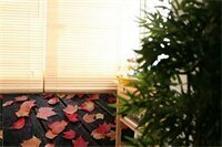 Bamboo Bed & Breakfast