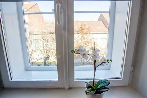 Zagreb City Vibe Apartments & Rooms, Забронировать Апартаменты/квартира Donji Grad Загреб