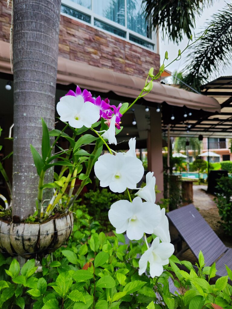 Chivatara Resort Bang Tao Beach Phuket - SHA