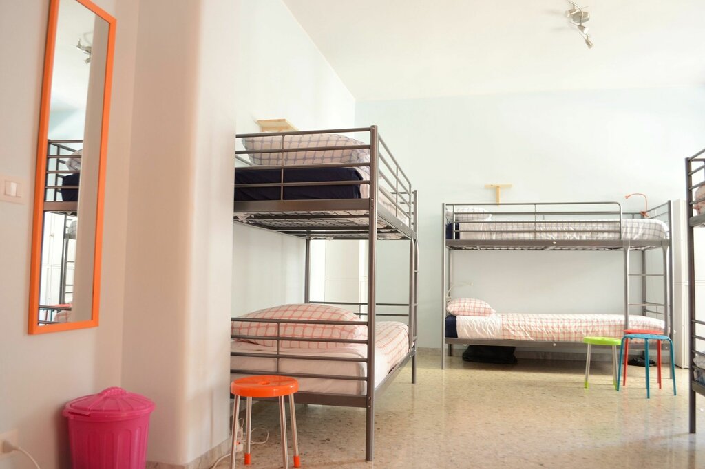 Olive Tree - Hostel