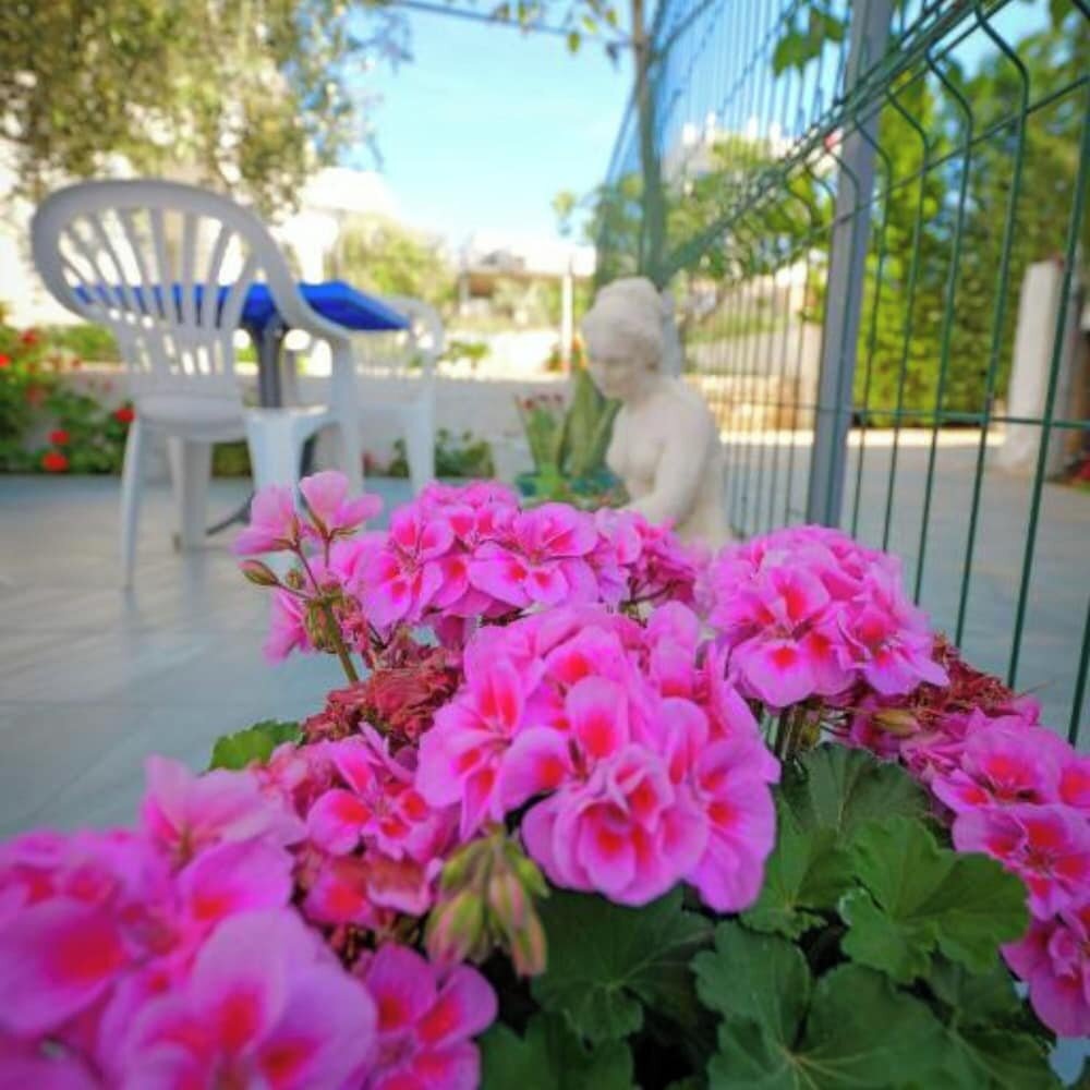 Vila Sofia