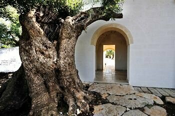 Agriturismo Masseria De Michele, Rezervați Sejur la fermă Montalbano Fasano Area