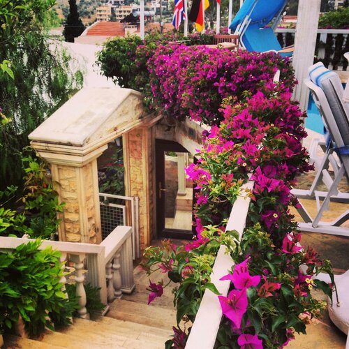 Kelebek Apartments, Забронировать Апартаменты/квартира Апартаменты Калкана, рядом с Kalkan Yacht Marine, Апартаменты/квартира