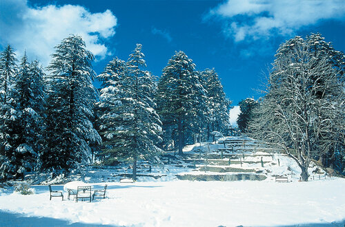 Wildflower Hall, An Oberoi Resort, Shimla, Забронировать Отель СПА-отели Куфри, SPA-услуги