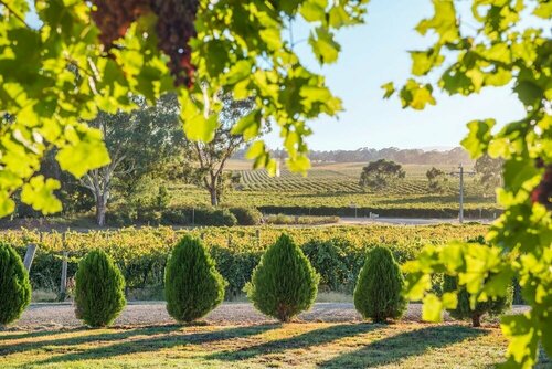 Barossa Shiraz Estate, Varaa Lomakoti Lyndoch 