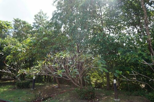 Ratchapreuk Resort, Rezervovat Lázně / Resort Kalasin 