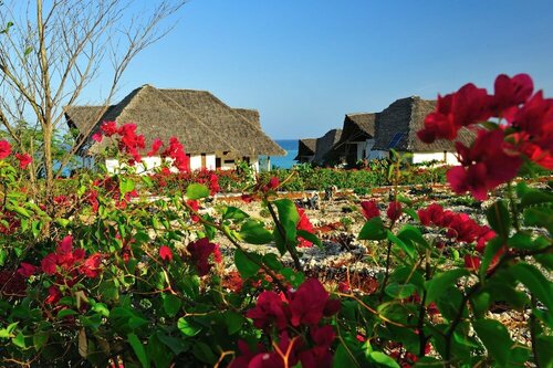 Kasha Boutique Hotel, Book Ferieresort Matemwe 