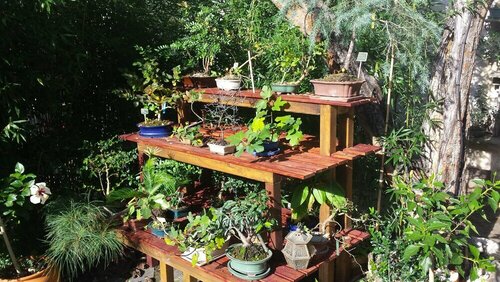 Casa Coimbra Guesthouse & Garden, Забронировать Гостевой дом Гостевые дома Бейра-Алта, Гостевой дом