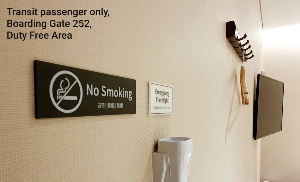 Incheon Airport Transit Hotel - Terminal 1
