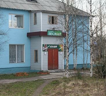 Lesnaya, Rezervovat Mini-hotel Muezerskiy  Karelia