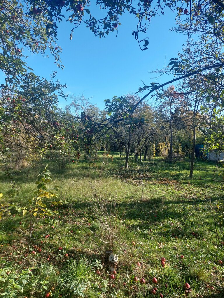 Kruglogodichnyy Teplyy basseyn