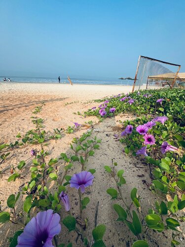 Azaya Beach Resort, Boek Resort Benaulim 