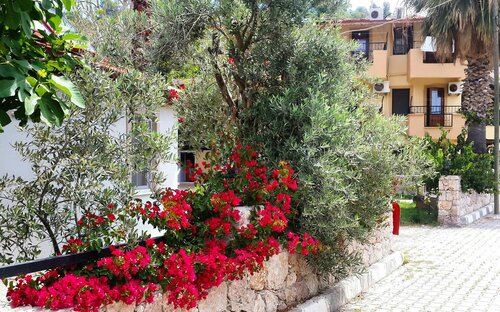 Flower Hotel Patara, Забронировать Отель Отели Патара 3 звезды, 3*