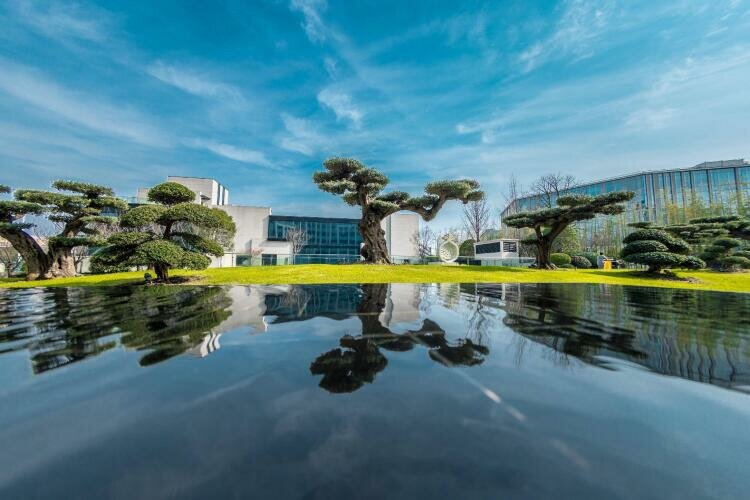 The Anandi Hotel and SPA - Luxury Healing Hotel for Wellbeing