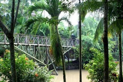 Sepilok Jungle Resort, Prenota Resort Sepilok Sabah