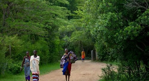Basecamp Masai Mara, Забронировать Кемпинг Отели Кикорок 3 звезды, 3*
