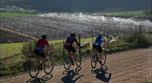 Rietfontein Ostrich Palace, Buchen Sie Bed & Breakfast Vleirivier 