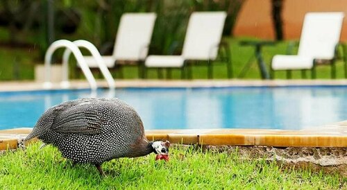 Vila Real Hotel, Забронировать Отель Отели Жау 4 звезды, 4*