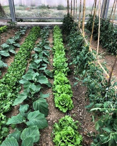 Resort San Nicola - Restaurant and Wellness Fitness, Book Ferieresort Polizzi Generosa Madonie Regional Natural Park