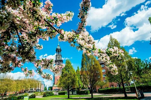 THE MADISON Hotel Hamburg, Забронировать Отель Бизнес-отели Гамбурга, рядом с Концертный зал Laeiszhalle, 4* 5*