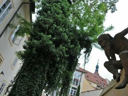 Monastery Garden Prague