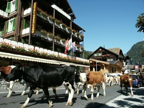 Hotel Oberland, Prenota Hotel Lauterbrunnen 