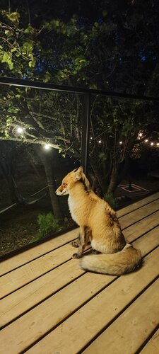 Domik gorah, Rezerwuj Pensjonat Hotele w Crimea z Parkingiem, Parking