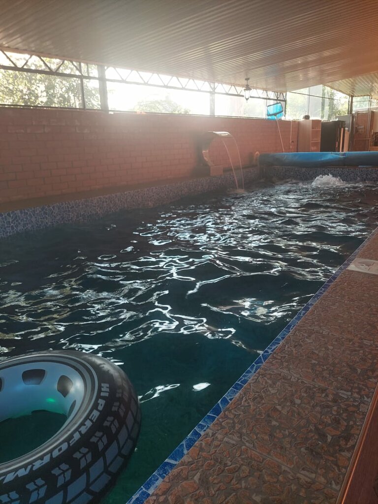 Kruglogodichnyy Teplyy basseyn