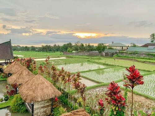 Cahaya Tetebatu Inn, Rezervasyon Bed and Breakfast Praya Lombok