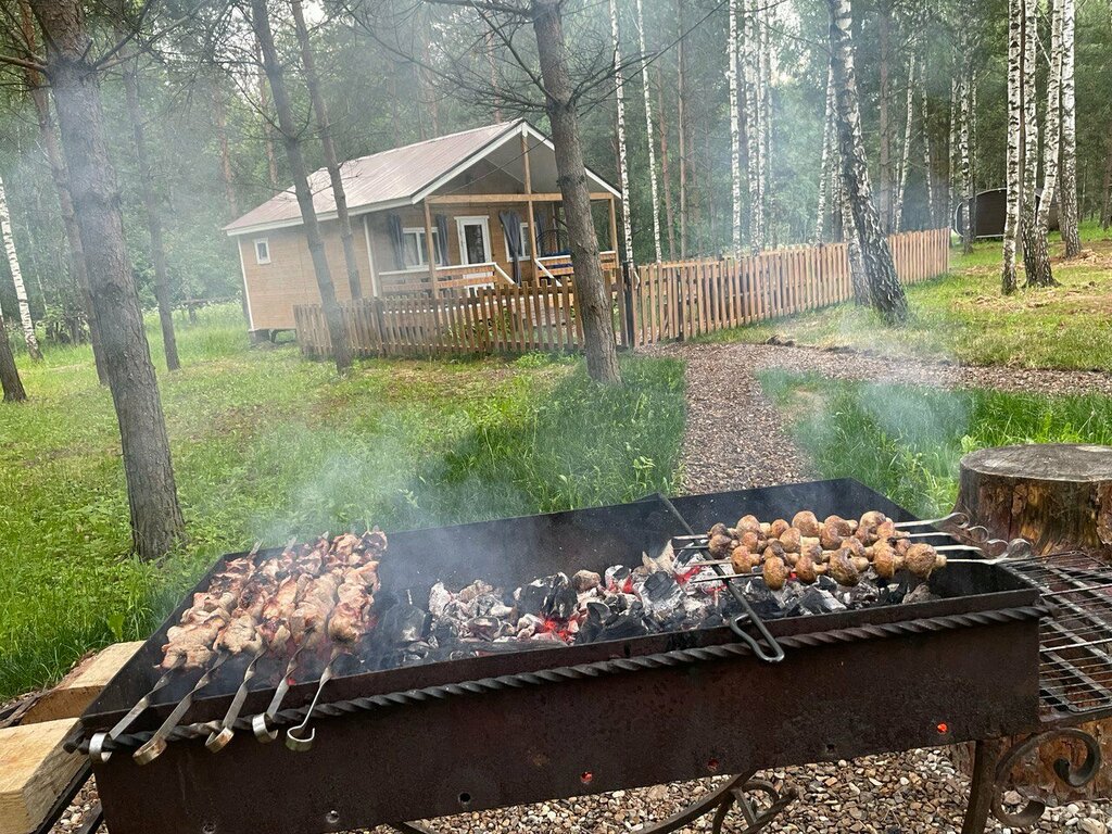 Золотой Куркозель