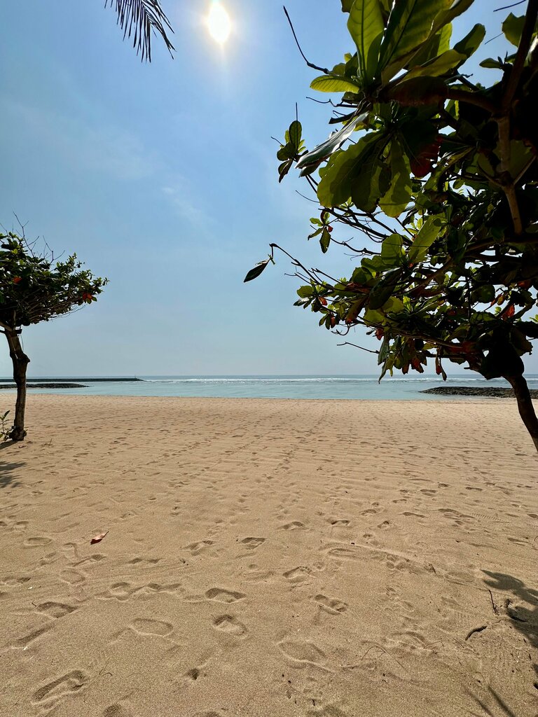 The Ritz Carlton Bali