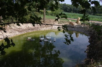 BioAgriturismo Vegan Campo di Cielo, Забронировать Фермерский дом СПА-отели Доломитов, SPA-услуги