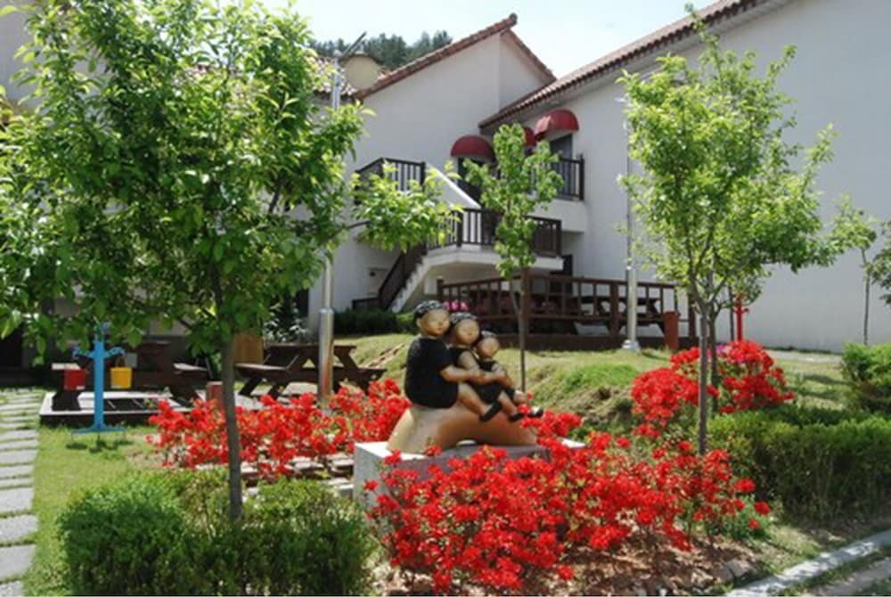 Meta Pension, DamYang