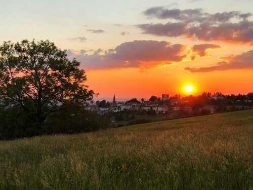 Bergheim Container Lodges, Prenota Casa vacanze Hotel SPA a Vogtland, SPA
