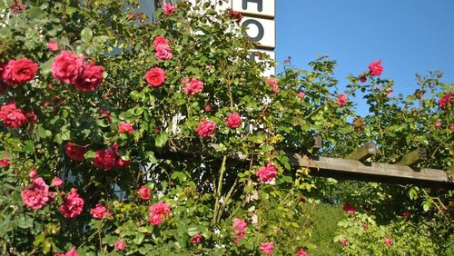 Hotel Garni Niedernhausen, Rezervovat Hotel Niedernhausen Taunus