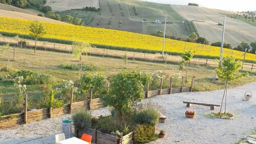 Il Casale Dei Ciliegi, Prenota Bed & breakfast Hotel a Abruzzo con piscina, Piscina