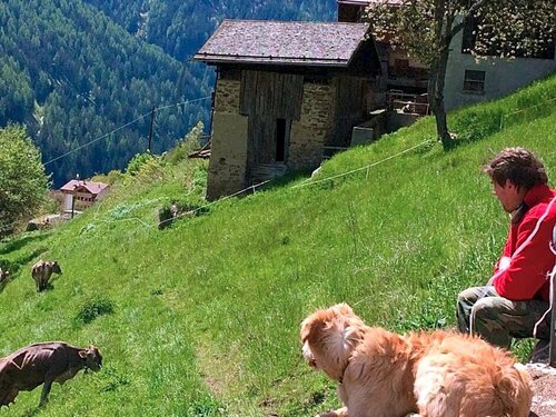 Agritur Maso Ciprianna B&B, Забронировать Отель «постель и завтрак» Монклассико Валь-ди-Соле