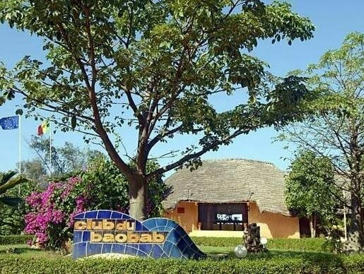 Royal Horizon Baobab