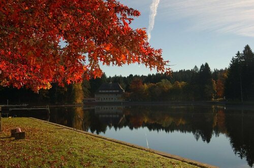 Hotel Waldsee, Rezerwuj Hotel Lindenberg im Allgaeu Westallgaeu