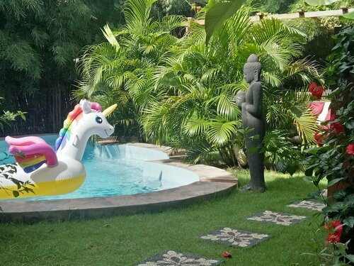 Bamboo bungalow, Prenota Affittacamere Hotel a Badung con piscina, Piscina