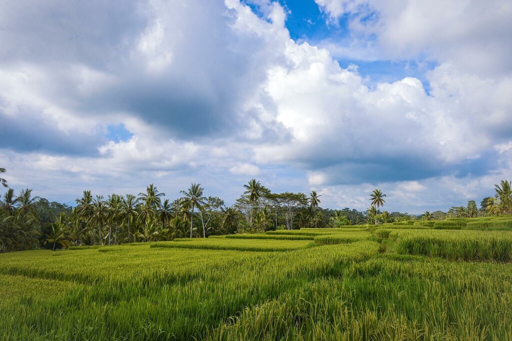 Anusara Luxury Villas