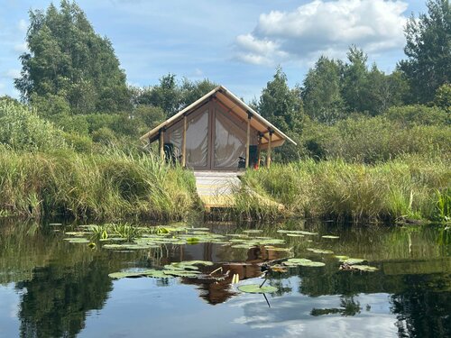 Sad imeni Aleksandra Nevskogo, Rezerwuj Pole kempingowe Gdov Gdovsky District