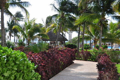 Grand Oasis Cancun - All Inclusive, Book Ferieresort Cancún Quintana Roo
